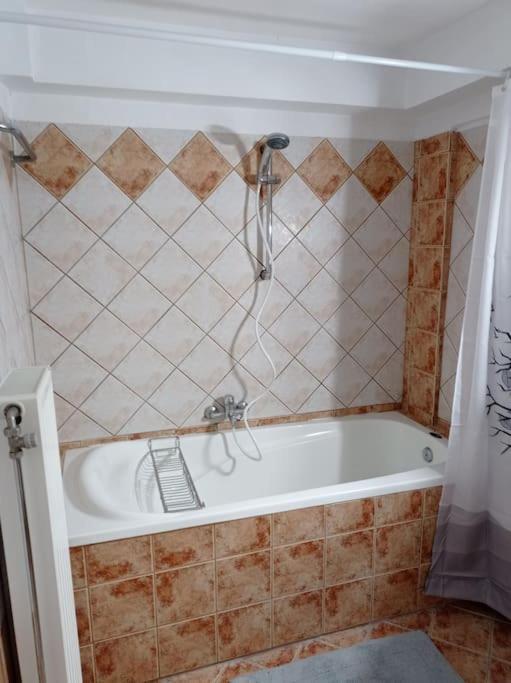 Trikala Alex House Appartement Buitenkant foto